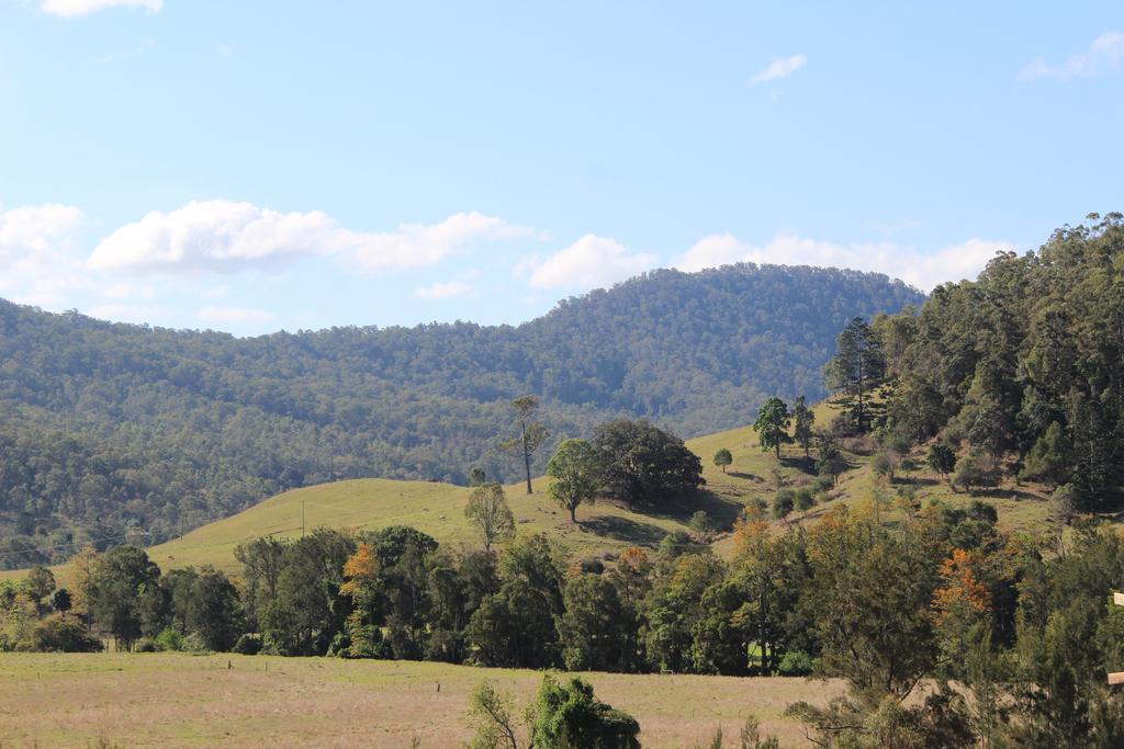 Greenlee Cottages Canungra Exterior foto